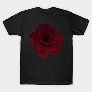 Dark Red Rose T-Shirt